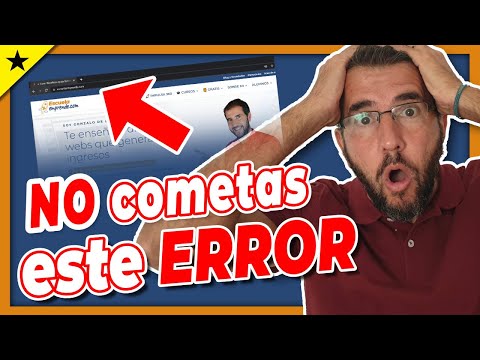 ¿Qué debes considerar al elegir el propietario de tu dominio web?