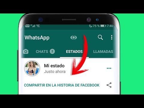 Descubre cómo acceder a los estados ocultos en WhatsApp