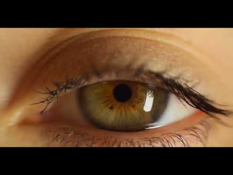La importancia de lo visual en la comunicación: Un análisis detallado